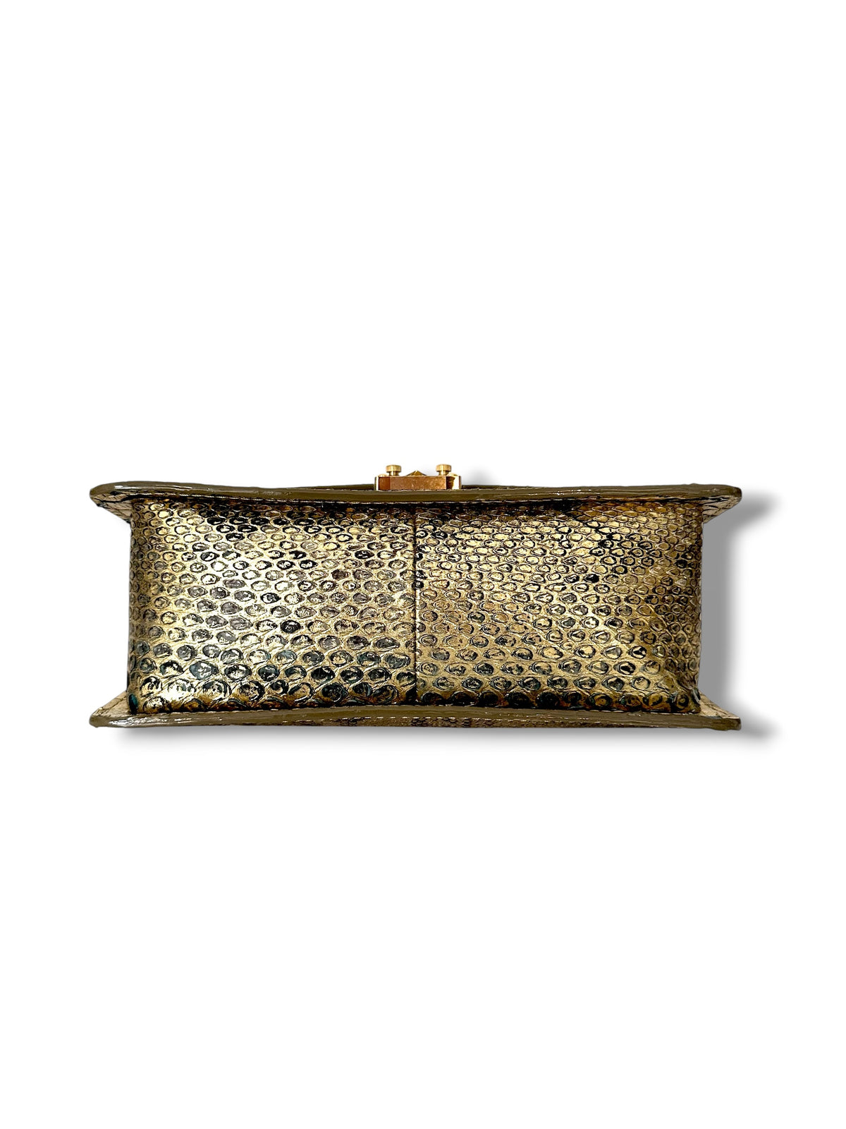 Metallic Gold Python - The Anka