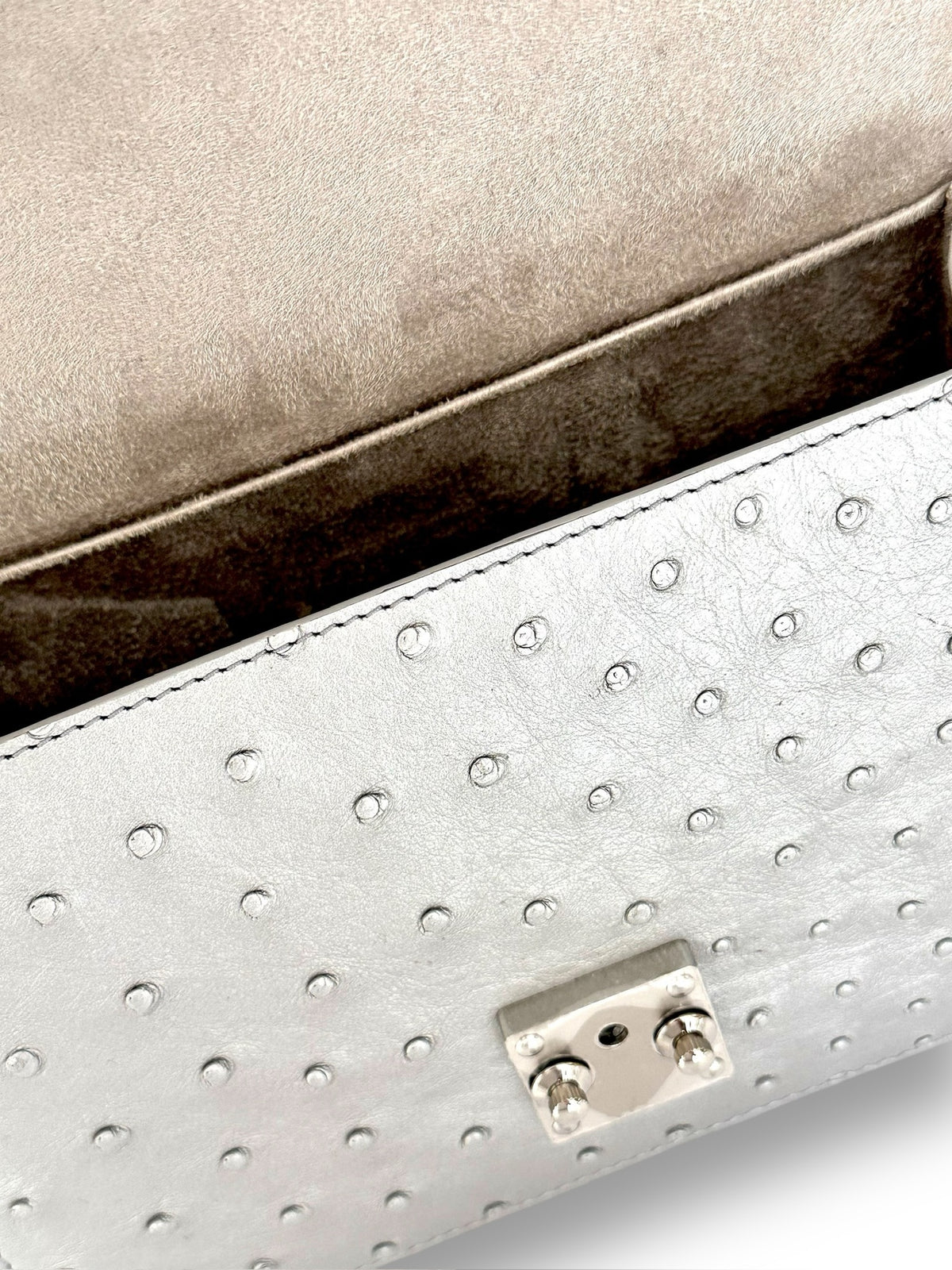 Metallic Silver Ostrich - Hadley Flap image 3