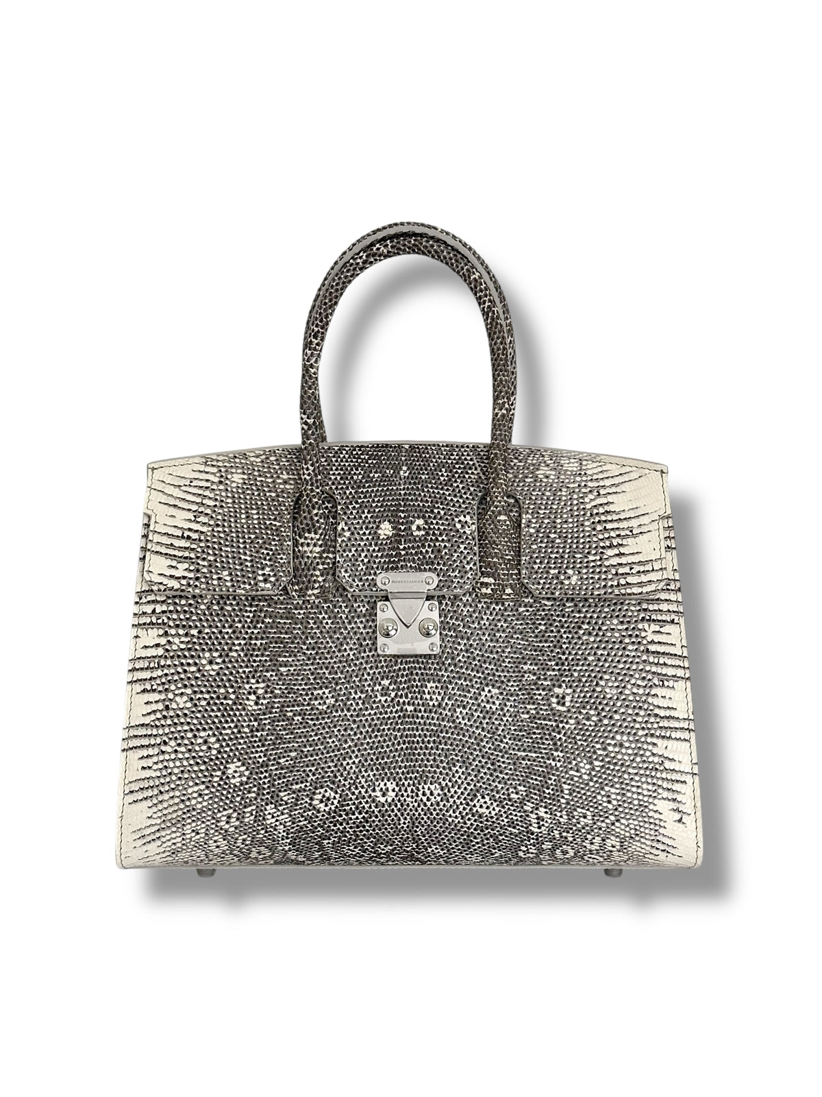 Ombré Lizard - The Wrenley Tote image 0