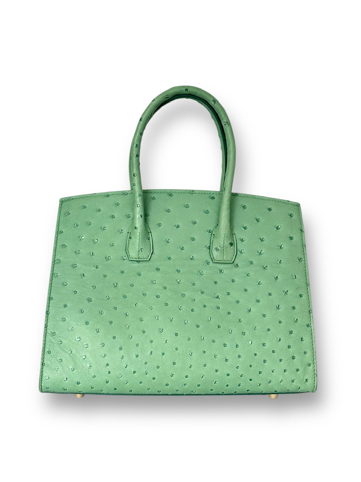 Iridescent Soft Green Ostrich - Wrenley Tote image 2