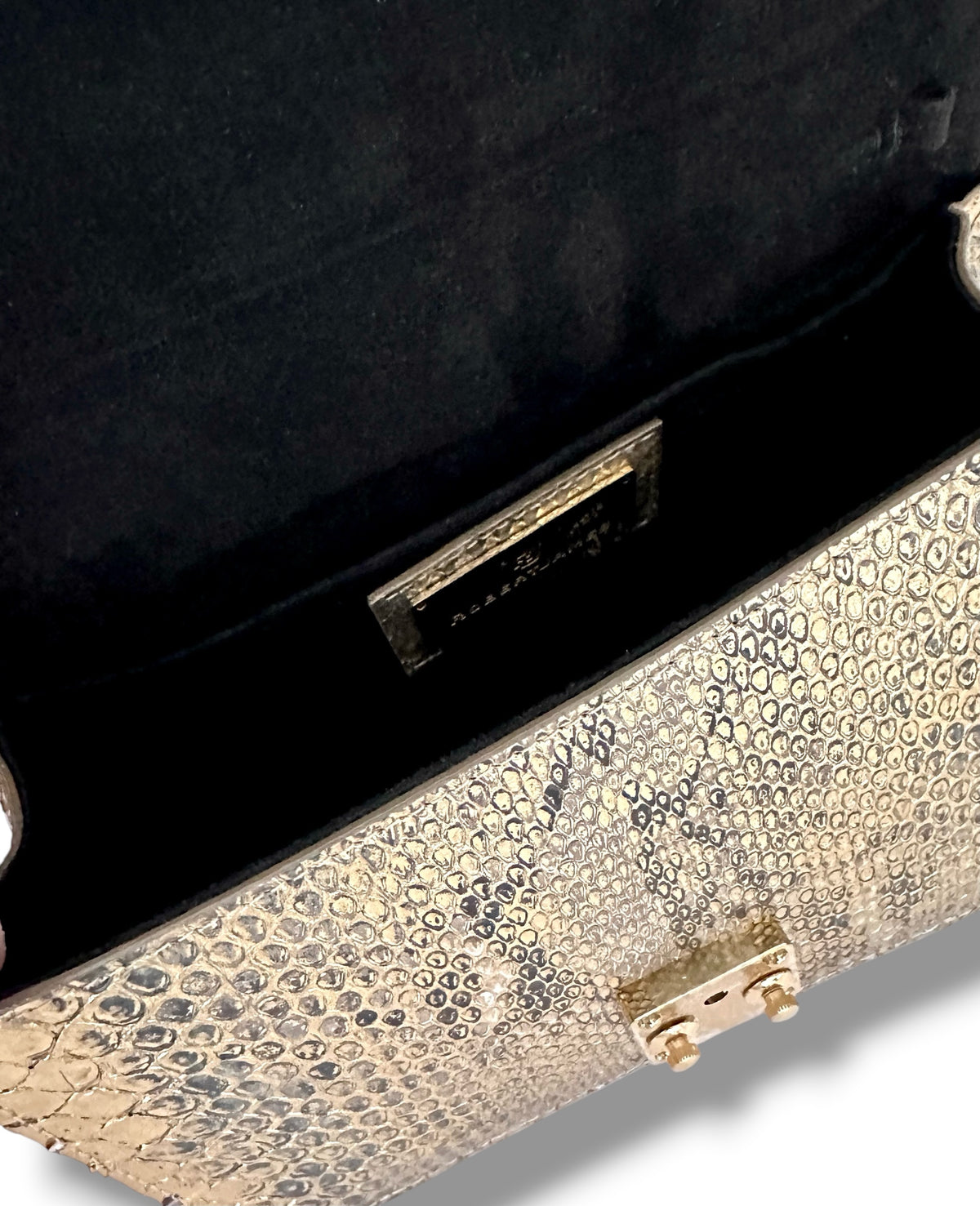 Metallic Gold Python - The Anka