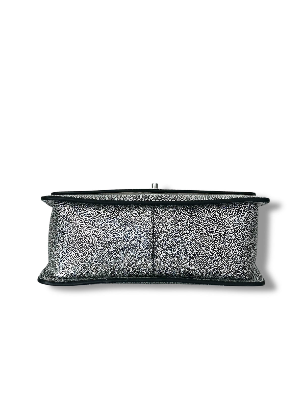 Silver Jeweled Galuchat - Anka Top Handle image 3