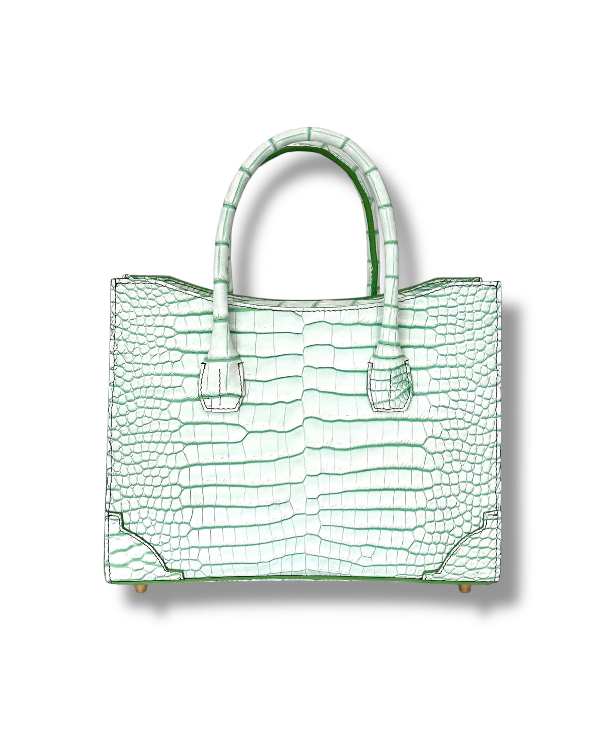 Soft Green and White Porosus Crocodile - The Kolbie image 2