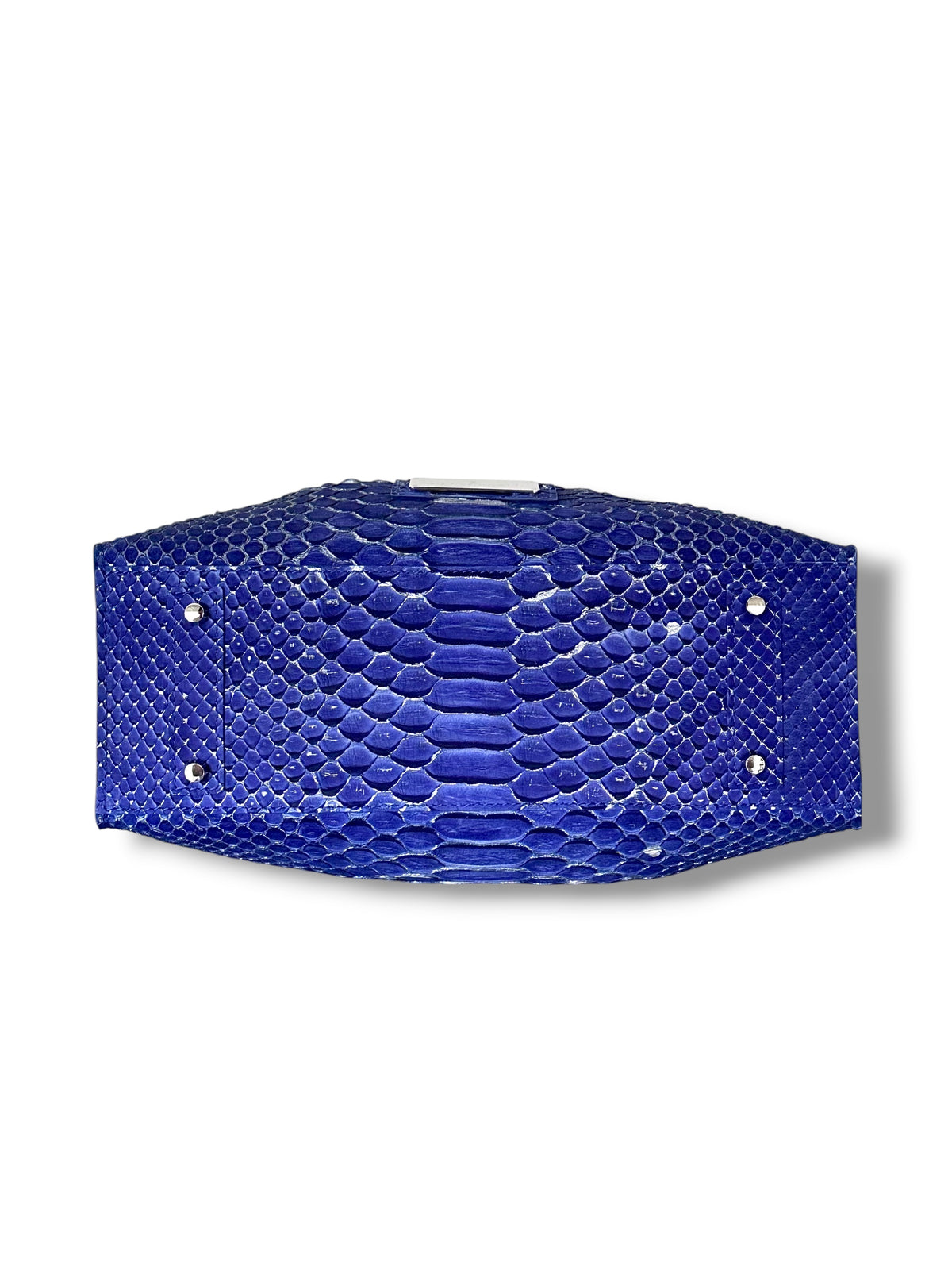 Electric Blue Python with Silver Accents - The Johnna Tote