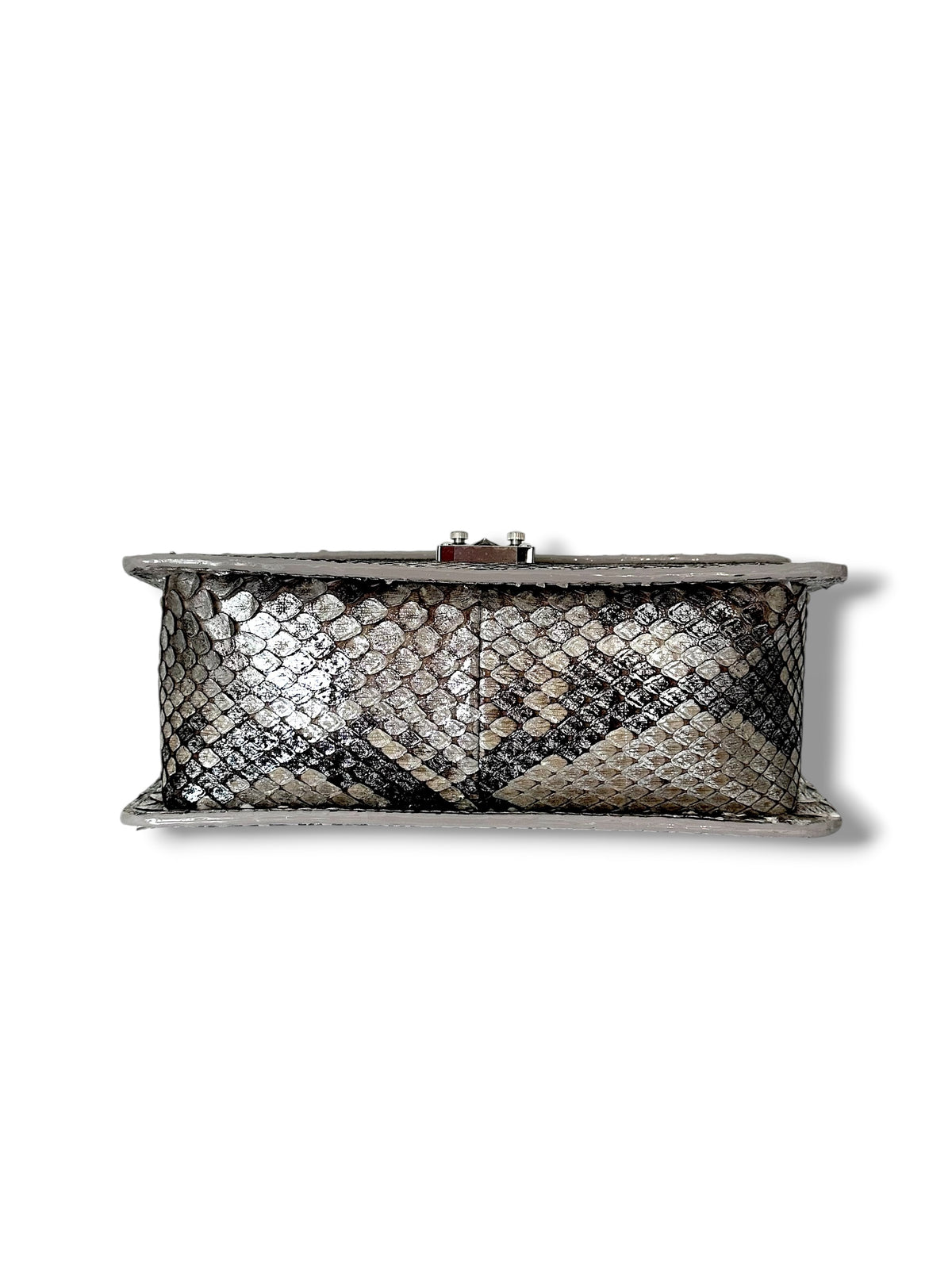 Metallic Silver Python - The Anka