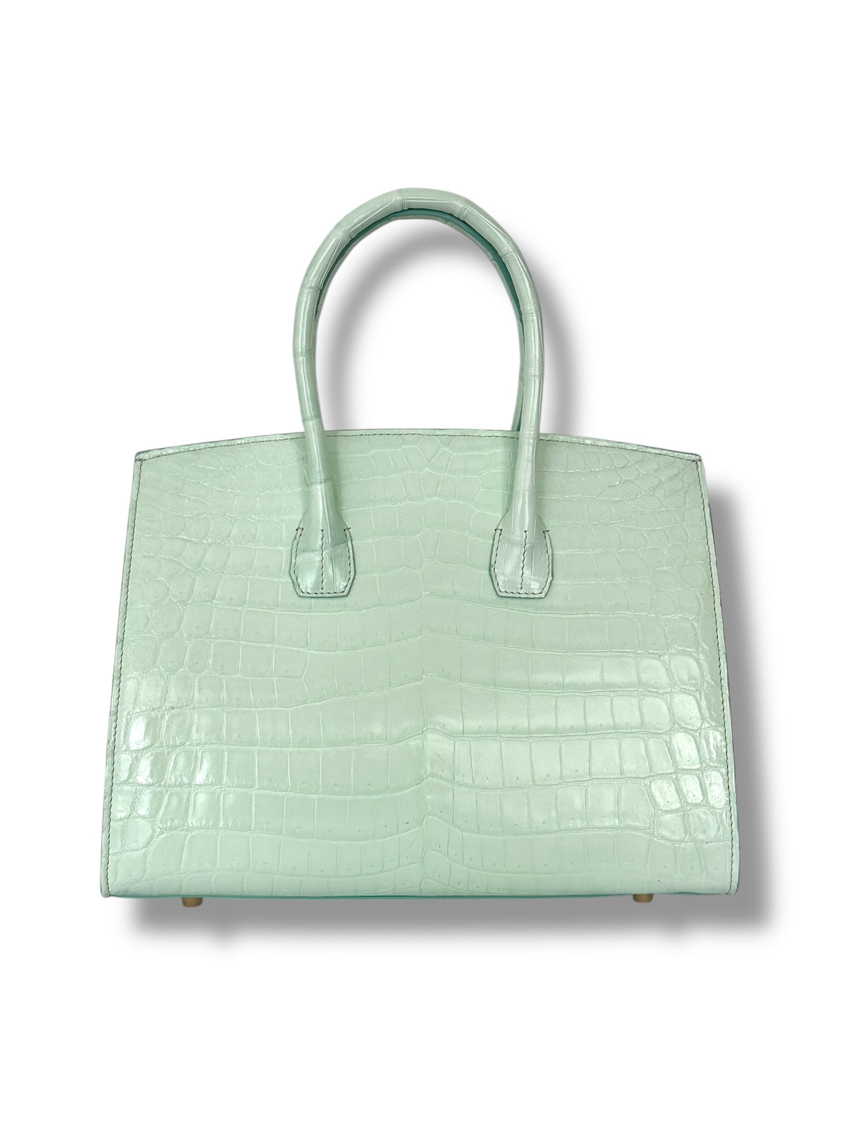 Seafoam Niloticus Crocodile - Wrenley Tote image 2