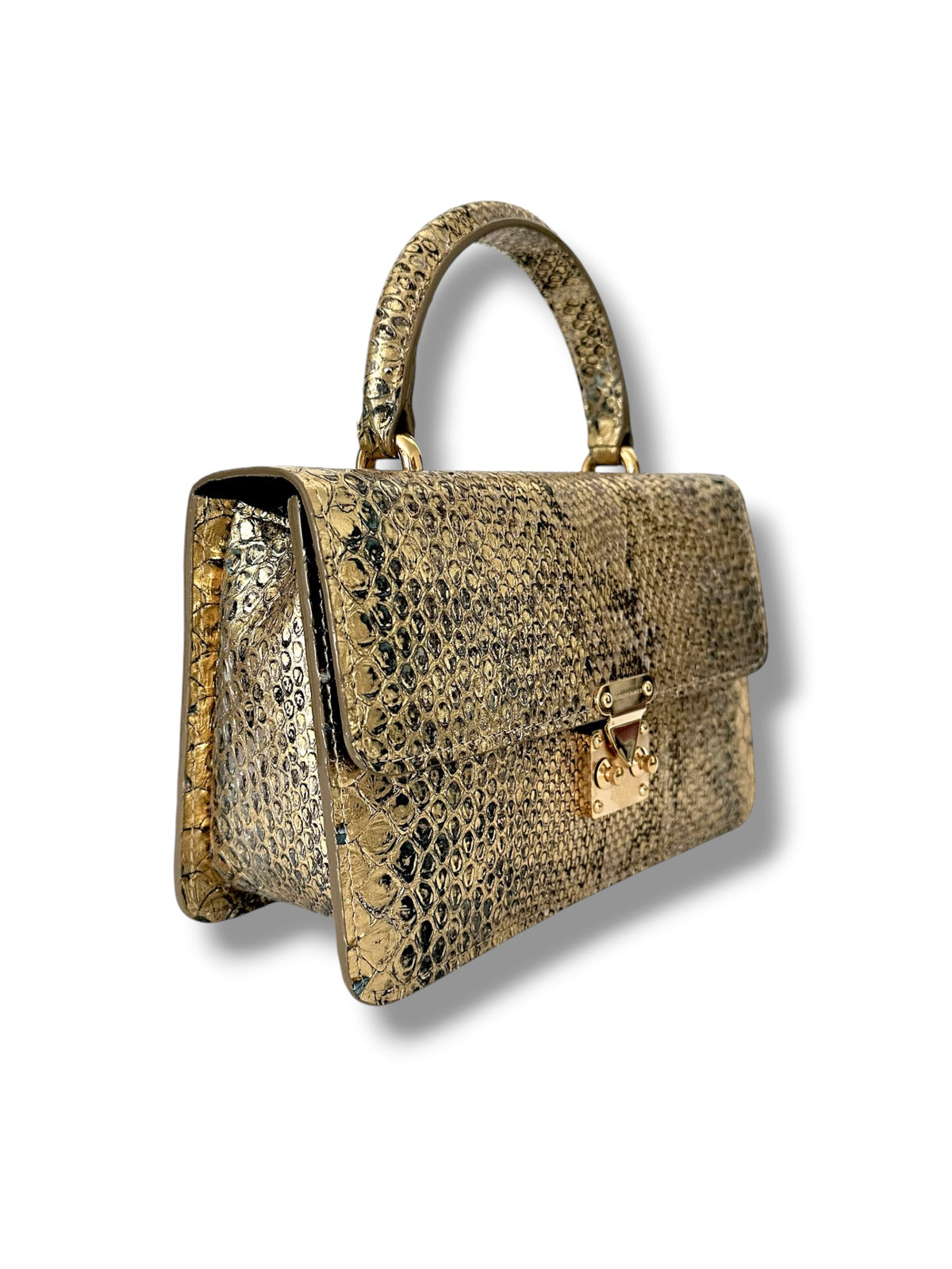 Metallic Gold Python - The Anka