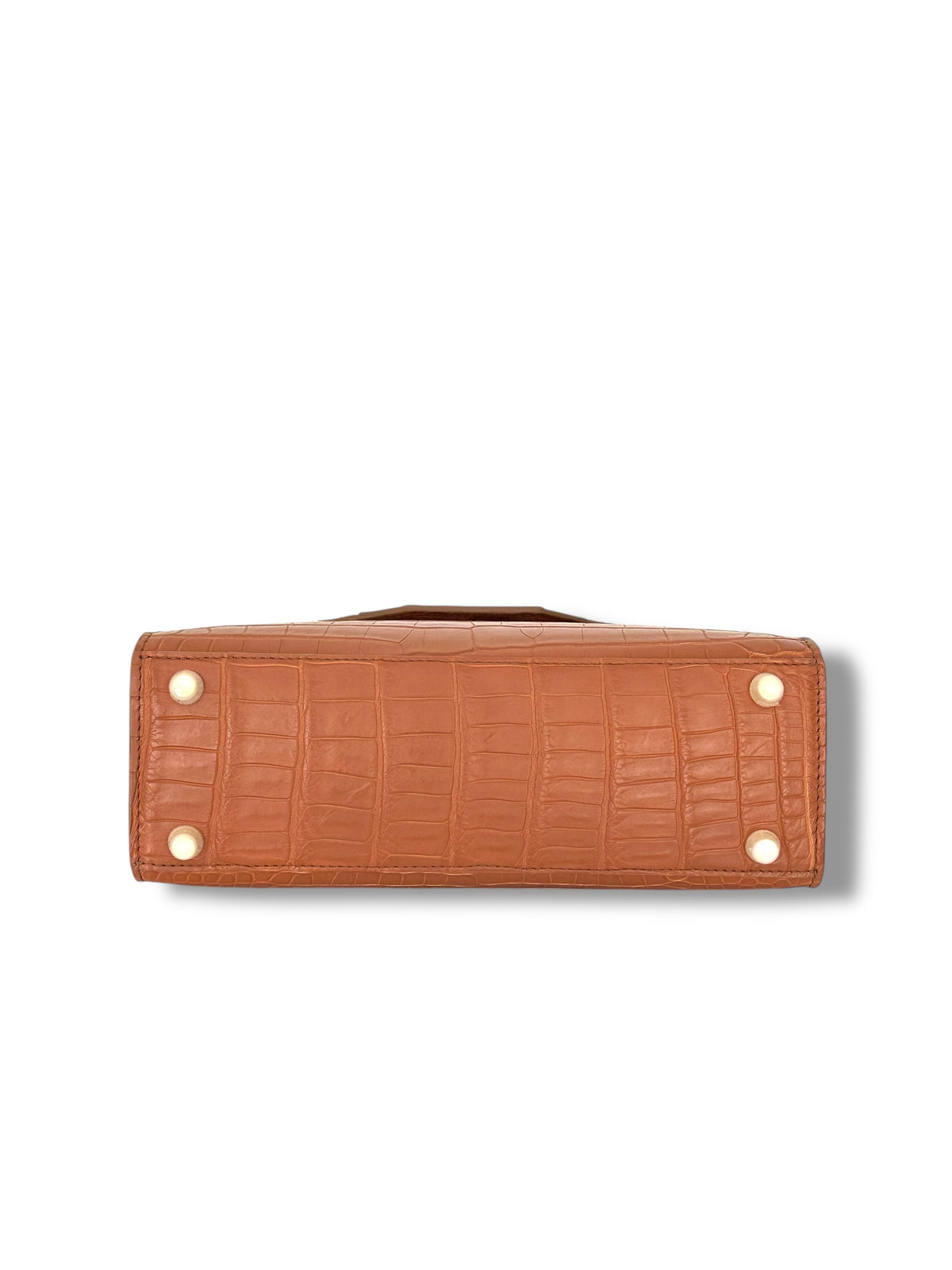 Italian Gold Alligator - The Mary Fran image 3