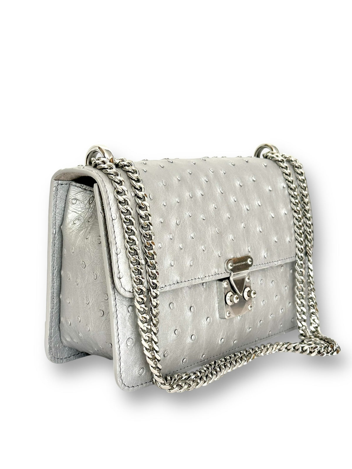 Metallic Silver Ostrich - Hadley Flap image 1
