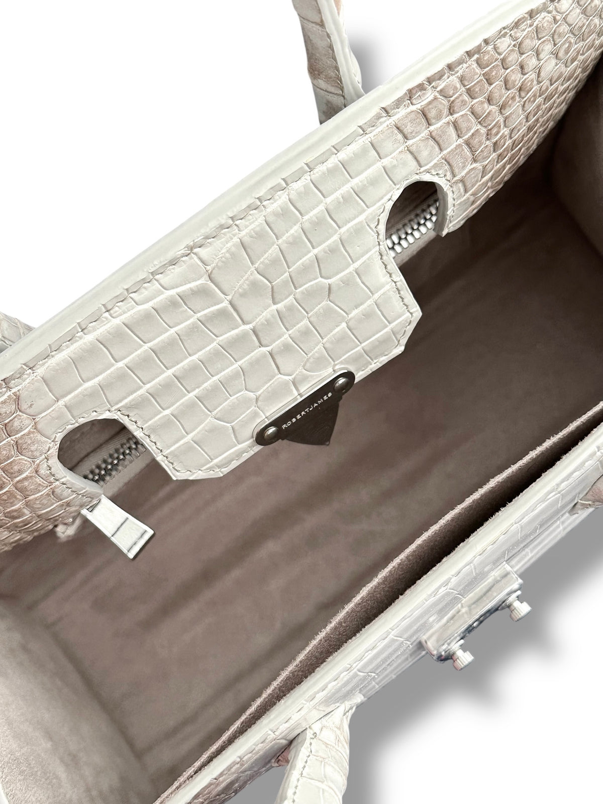 Sierra Crocodile - The Wrenley Tote image 4
