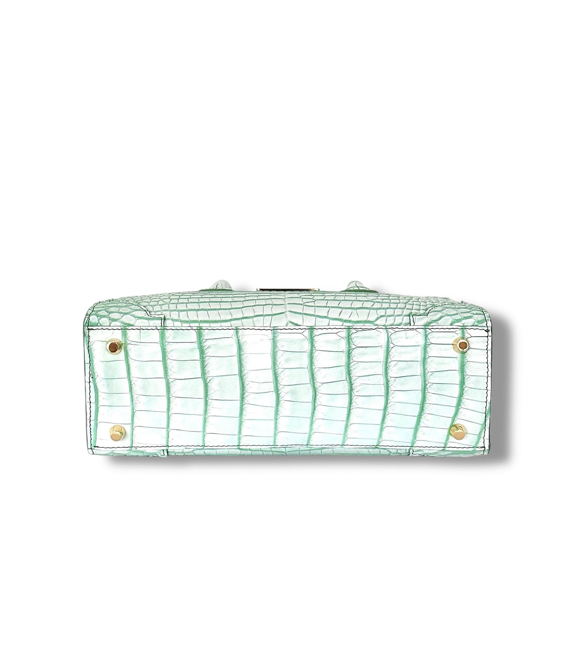 Soft Green and White Porosus Crocodile - The Kolbie image 3