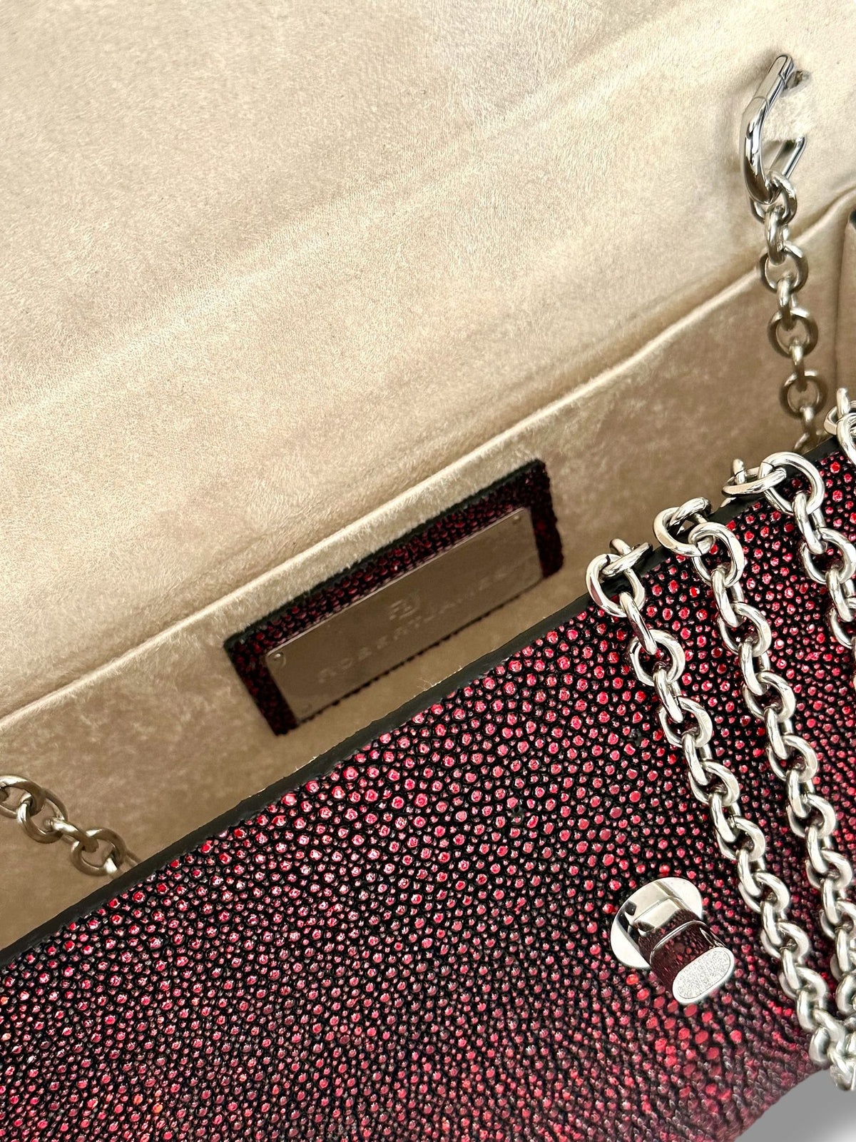 Ruby Jeweled Galuchat - Anka Top Handle image 4