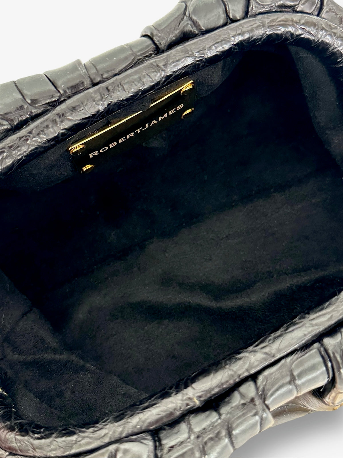Black Onyx Niloticus Crocodile - Mini Birdie Bag image 3
